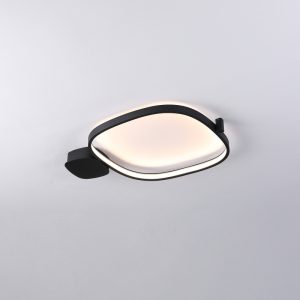 LBL366-Surface mount led ceiling light