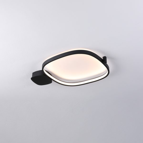LBL366-Surface mount led ceiling light