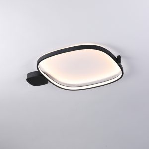 LBL367-Surface mount led ceiling light