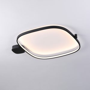 LBL368-Surface mount led ceiling light