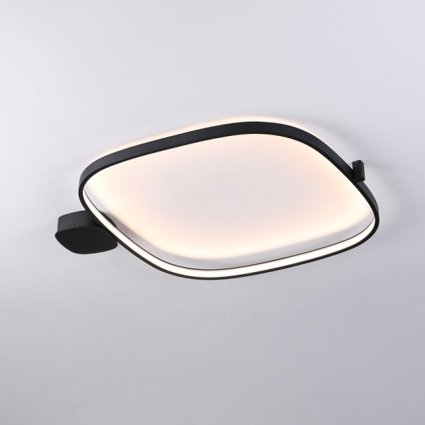 LBL368-Surface mount led ceiling light