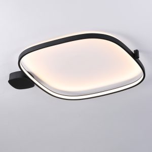 LBL369-Surface mount led ceiling light