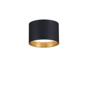 LBL370-GD-Modern Sytle Led Ceiling Light