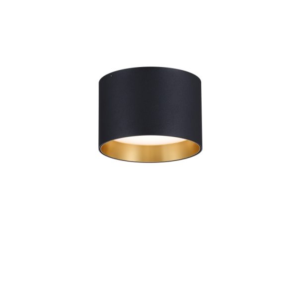 LBL370-GD-Modern Sytle Led Ceiling Light