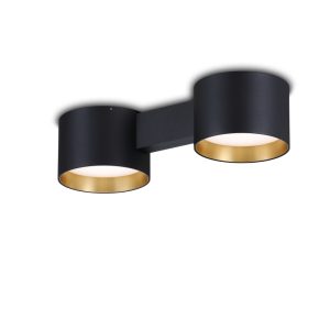 LBL371-GD-Modern Sytle Led Ceiling Light