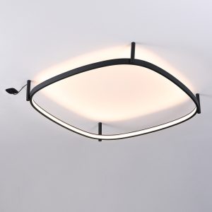 LBL360-Surface ring led ceiling light