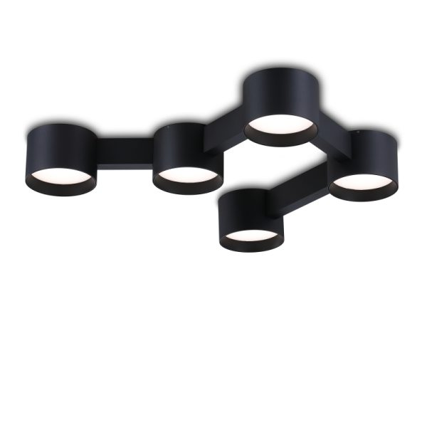 LBL374-BK-Modern Sytle Led Ceiling Light