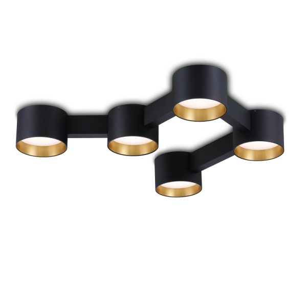 LBL374-GD-Modern Sytle Led Ceiling Light