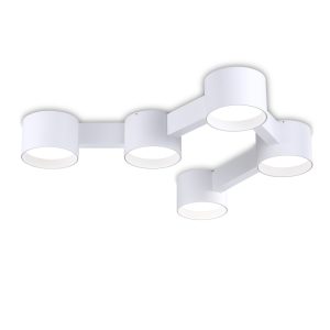 LBL374-WT-Modern Sytle Led Ceiling Light
