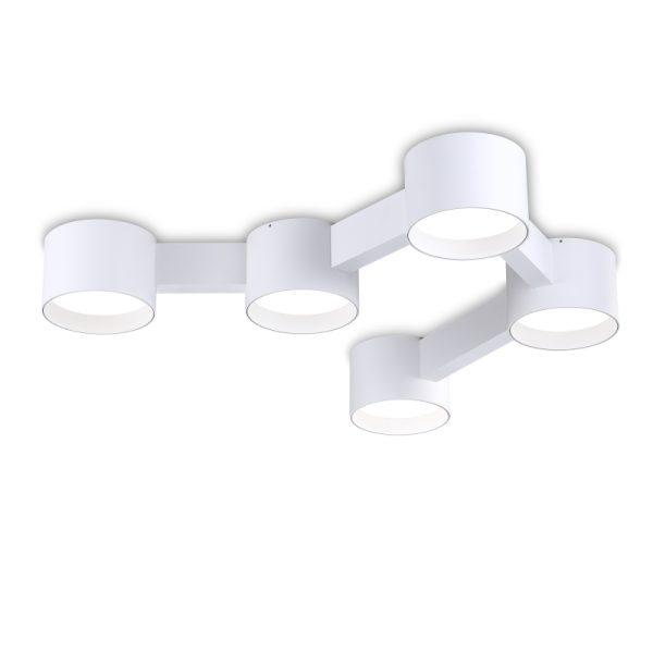 LBL374-WT-Modern Sytle Led Ceiling Light