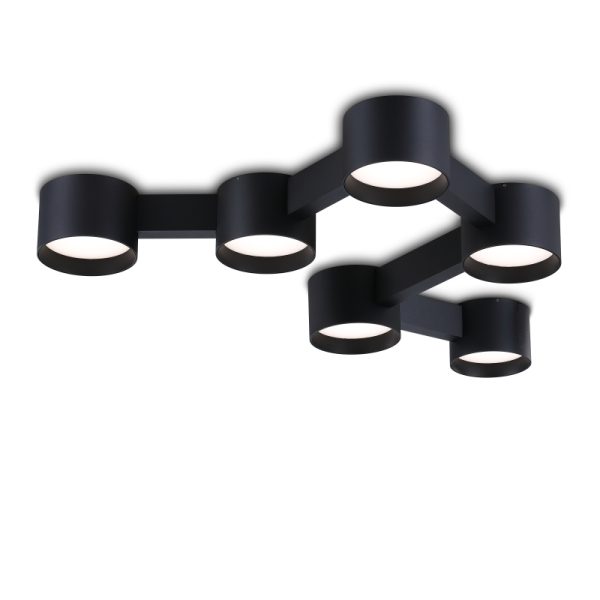 LBL376-BK-Modern Sytle Led Ceiling Light