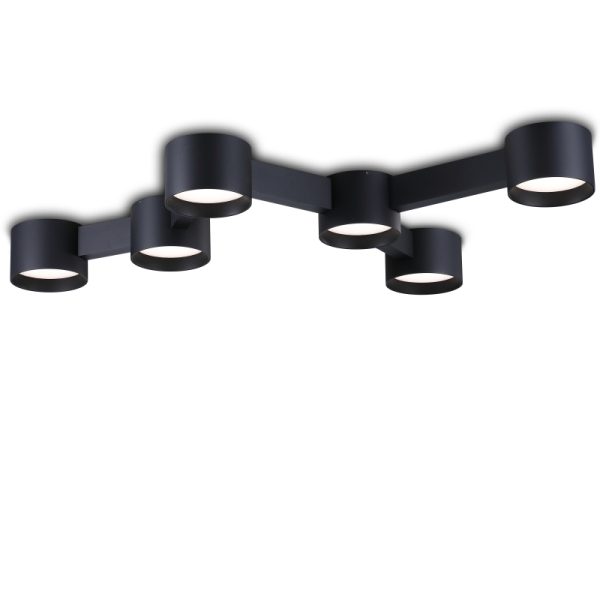 LBL377-BK-Modern Sytle Led Ceiling Light