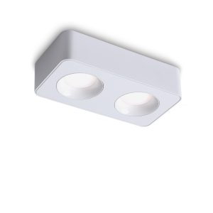 LBL726-WT-2*8W Led Surface Down Light