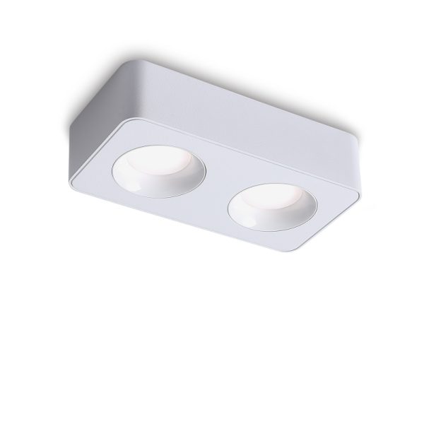 LBL726-WT-2*8W Led Surface Down Light