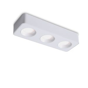 LBL727-WT-3*8W Led Surface Down Light