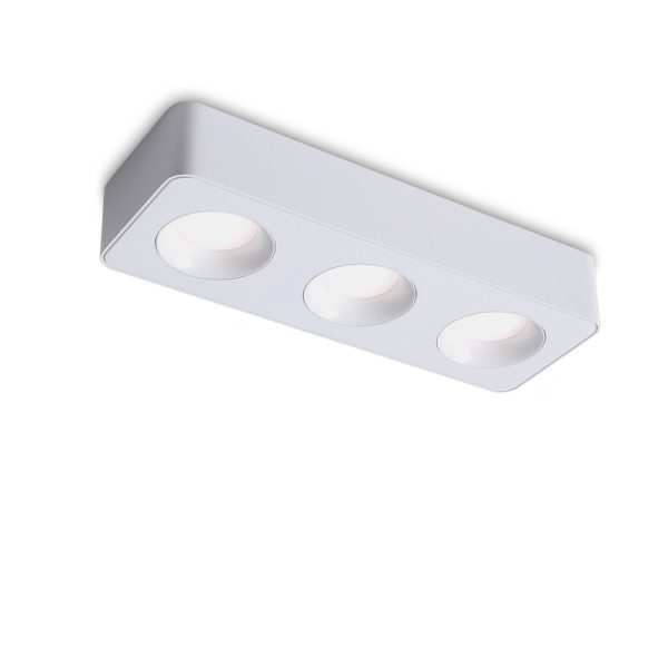 LBL727-WT-3*8W Led Surface Down Light