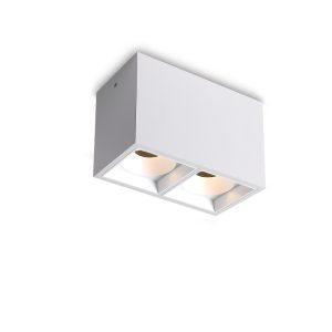 LBL730-WT-2*6W Led Surface Down Light