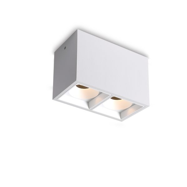 LBL730-WT-2*6W Led Surface Down Light