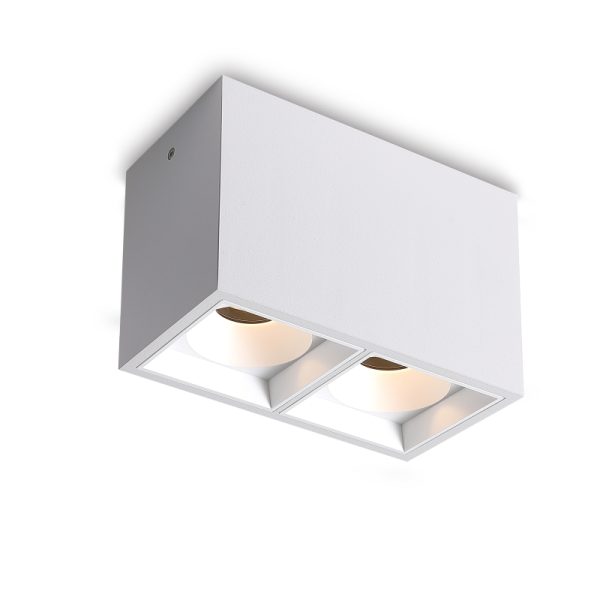 LBL732-BK-2*15W Led Surface Down Light