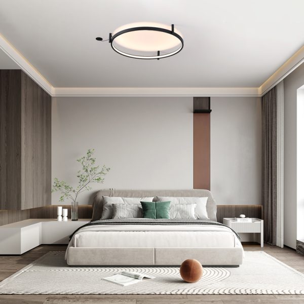 LBL353-Surface ring led ceiling light - Image 2