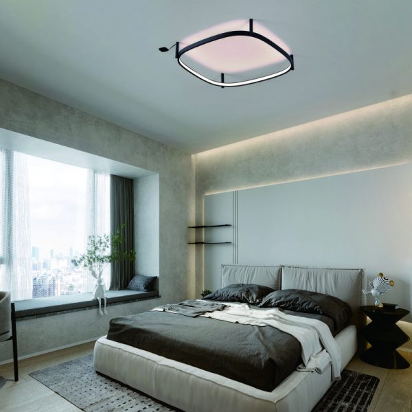 LBL358-Surface ring led ceiling light - Image 2