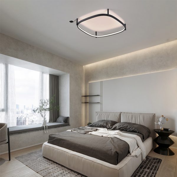 LBL359-Surface ring led ceiling light - Image 2