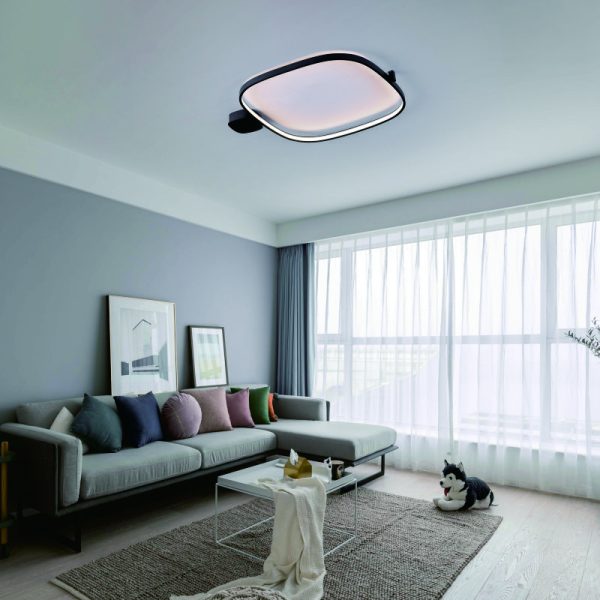 LBL368-Surface mount led ceiling light - Image 2