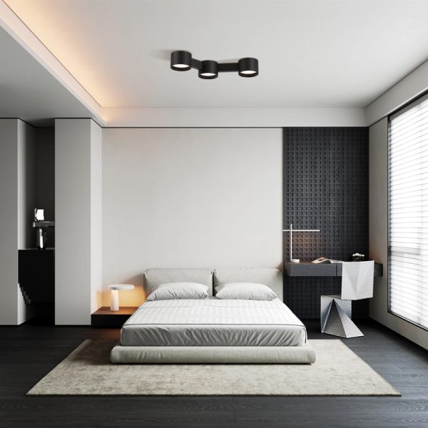 LBL372-BK-Modern Sytle Led Ceiling Light - Image 2