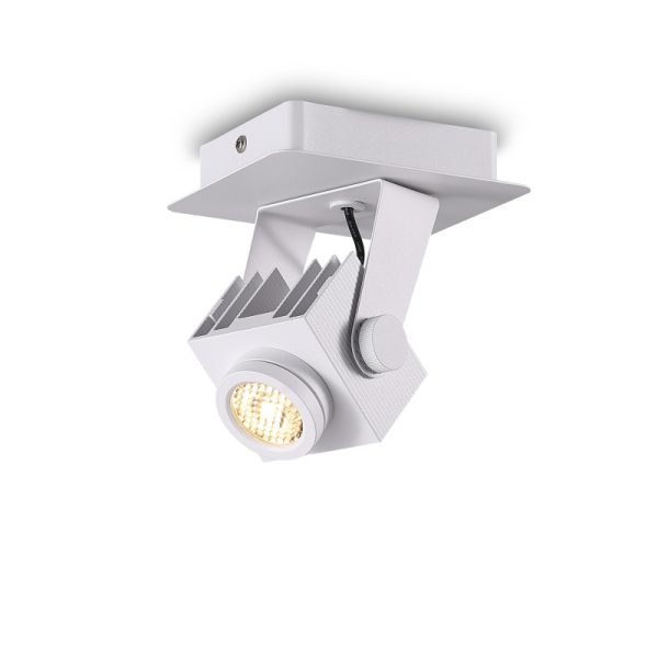 LSP274-WT-12W Modern Style Led Surface Spot Light