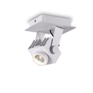 LSP275-WT-12W Modern Style Led Surface Spot Light