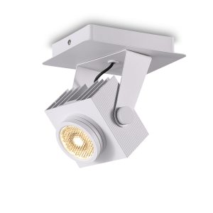 LSP276-WT-30W Modern Style Led Surface Spot Light