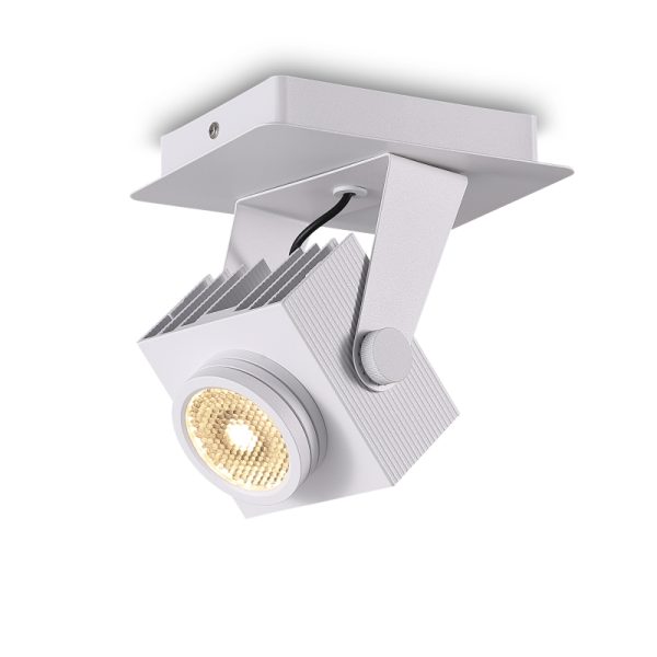 LSP276-WT-30W Modern Style Led Surface Spot Light