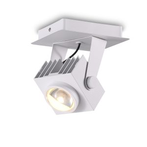 LSP277-WT-30W Modern Style Led Surface Spot Light