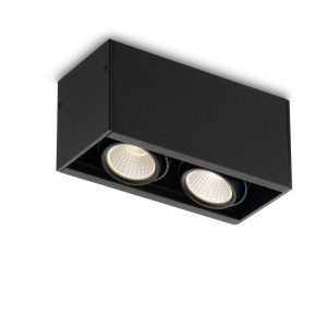 LBL108-2-BK-2*6W Modern Style Ceiling Surface Led Down Light