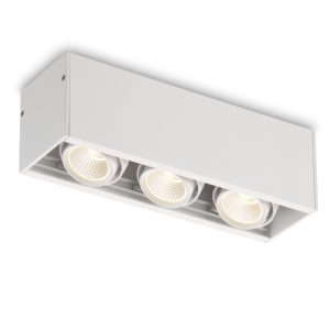 LBL108-3-WT-3*6W Modern Style Ceiling Surface Led Down Light