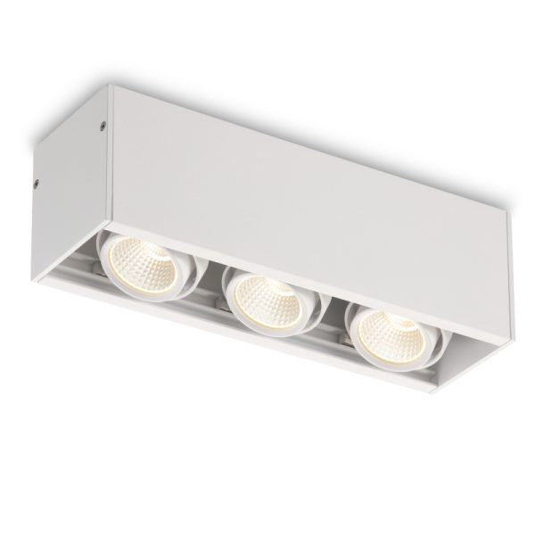 LBL108-3-WT-3*6W Modern Style Ceiling Surface Led Down Light