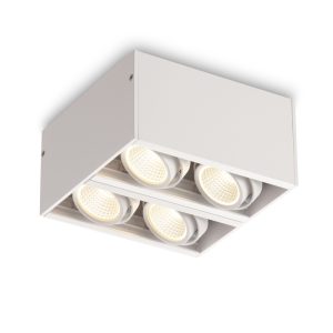 LBL108-4A-WT-4*6W Modern Style Ceiling Surface Led Down Light