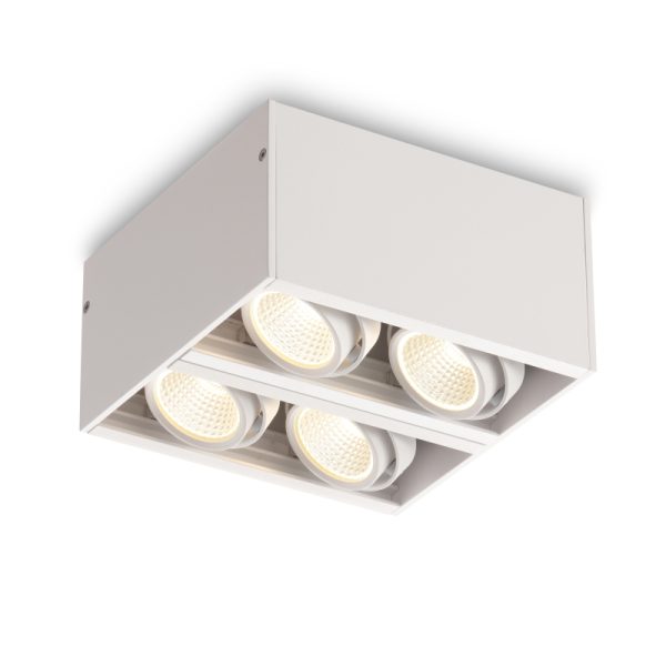 LBL108-4A-WT-4*6W Modern Style Ceiling Surface Led Down Light