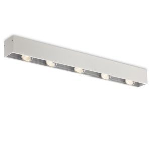 LBL108-5-WT-5*6W Modern Style Ceiling Surface Led Down Light