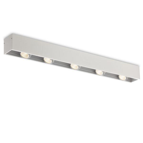 LBL108-5-WT-5*6W Modern Style Ceiling Surface Led Down Light