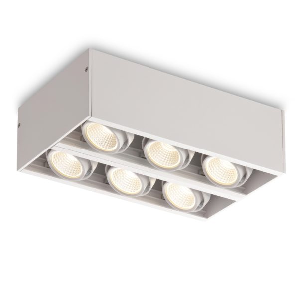 LBL108-6A-WT-6*6W Modern Style Ceiling Surface Led Down Light