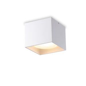 LBL382-WT-10W Surface Down Light