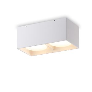 LBL383-WT-20W Surface Down Light