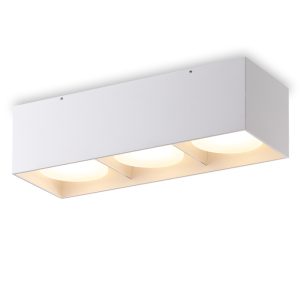 LBL384-WT-30W Surface Down Light