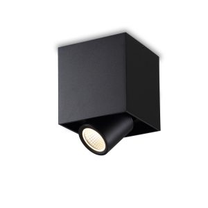LBL394-BK-9W COB Surface Down Light