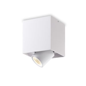 LBL394-WT-9W COB Surface Down Light