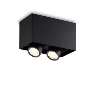 LBL395-BK-2*6W COB Surface Down Light