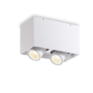 LBL395-WT-2*6W COB Surface Down Light