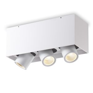 LBL396-WT-3*6W COB Surface Down Light