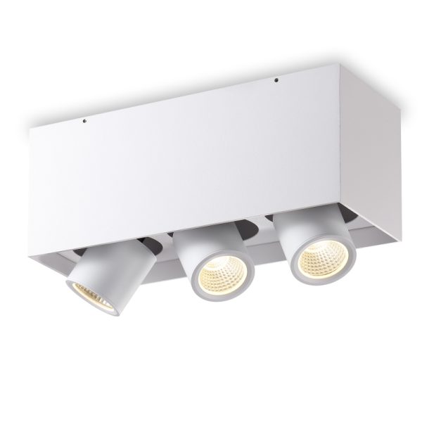 LBL396-WT-3*6W COB Surface Down Light